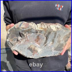 14lb Rare Natural petrified wood rough Wood fossil mineral specimen healing 14lb Rare Natural petrified wood rough Wood fossil mineral specimen healing