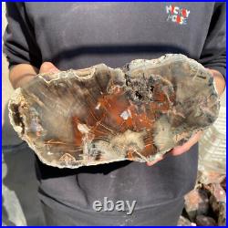 14lb Rare Natural petrified wood rough Wood fossil mineral specimen healing 14lb Rare Natural petrified wood rough Wood fossil mineral specimen healing