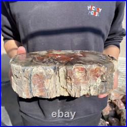 14lb Rare Natural petrified wood rough Wood fossil mineral specimen healing 14lb Rare Natural petrified wood rough Wood fossil mineral specimen healing