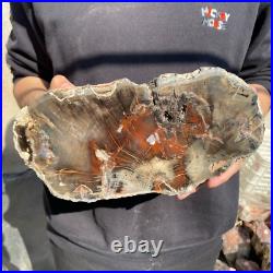 14lb Rare Natural petrified wood rough Wood fossil mineral specimen healing 14lb Rare Natural petrified wood rough Wood fossil mineral specimen healing