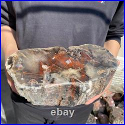 14lb Rare Natural petrified wood rough Wood fossil mineral specimen healing 14lb Rare Natural petrified wood rough Wood fossil mineral specimen healing