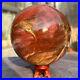 1519g_Natural_Petrified_Wood_Fossil_Quartz_Crystal_Sphere_Mineral_Specimen_01_wc