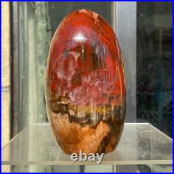 1540g Natural Fossil Petrified Wood Polished Freeform Crystal Mineral Healing 1540g Natural Fossil Petrified Wood Polished Freeform Crystal Mineral Healing