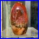 1540g_Natural_Fossil_Petrified_Wood_Polished_Freeform_Crystal_Mineral_Healing_01_wynf