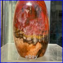 1540g Natural Fossil Petrified Wood Polished Freeform Crystal Mineral Healing 1540g Natural Fossil Petrified Wood Polished Freeform Crystal Mineral Healing