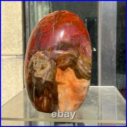 1540g Natural Fossil Petrified Wood Polished Freeform Crystal Mineral Healing 1540g Natural Fossil Petrified Wood Polished Freeform Crystal Mineral Healing