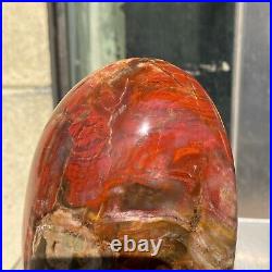 1540g Natural Fossil Petrified Wood Polished Freeform Crystal Mineral Healing 1540g Natural Fossil Petrified Wood Polished Freeform Crystal Mineral Healing