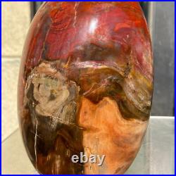1540g Natural Fossil Petrified Wood Polished Freeform Crystal Mineral Healing 1540g Natural Fossil Petrified Wood Polished Freeform Crystal Mineral Healing