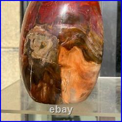 1540g Natural Fossil Petrified Wood Polished Freeform Crystal Mineral Healing 1540g Natural Fossil Petrified Wood Polished Freeform Crystal Mineral Healing