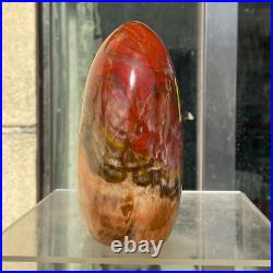 1540g Natural Fossil Petrified Wood Polished Freeform Crystal Mineral Healing 1540g Natural Fossil Petrified Wood Polished Freeform Crystal Mineral Healing