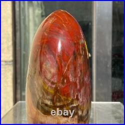 1540g Natural Fossil Petrified Wood Polished Freeform Crystal Mineral Healing 1540g Natural Fossil Petrified Wood Polished Freeform Crystal Mineral Healing