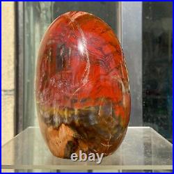 1540g Natural Fossil Petrified Wood Polished Freeform Crystal Mineral Healing 1540g Natural Fossil Petrified Wood Polished Freeform Crystal Mineral Healing