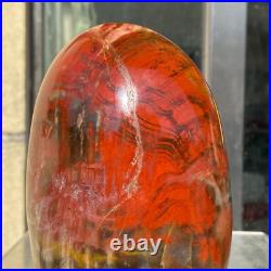 1540g Natural Fossil Petrified Wood Polished Freeform Crystal Mineral Healing 1540g Natural Fossil Petrified Wood Polished Freeform Crystal Mineral Healing