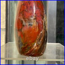 1540g Natural Fossil Petrified Wood Polished Freeform Crystal Mineral Healing 1540g Natural Fossil Petrified Wood Polished Freeform Crystal Mineral Healing