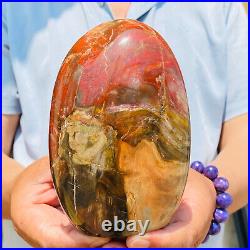 1540g Natural Red Petrified Wood Crystal Fossil Landscape Specimen Reiki Healing