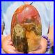 1540g_Natural_Red_Petrified_Wood_Crystal_Fossil_Landscape_Specimen_Reiki_Healing_01_nx