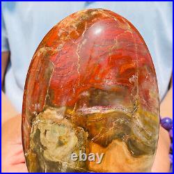 1540g Natural Red Petrified Wood Crystal Fossil Landscape Specimen Reiki Healing