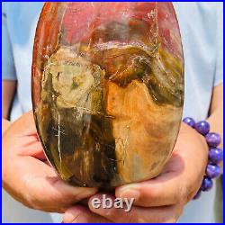 1540g Natural Red Petrified Wood Crystal Fossil Landscape Specimen Reiki Healing