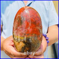 1540g Natural Red Petrified Wood Crystal Fossil Landscape Specimen Reiki Healing