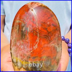 1540g Natural Red Petrified Wood Crystal Fossil Landscape Specimen Reiki Healing