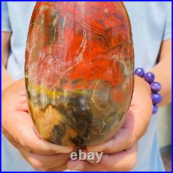 1540g Natural Red Petrified Wood Crystal Fossil Landscape Specimen Reiki Healing