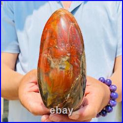 1540g Natural Red Petrified Wood Crystal Fossil Landscape Specimen Reiki Healing