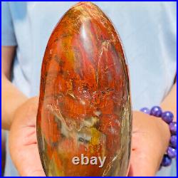 1540g Natural Red Petrified Wood Crystal Fossil Landscape Specimen Reiki Healing