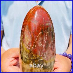 1540g Natural Red Petrified Wood Crystal Fossil Landscape Specimen Reiki Healing