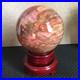 1560g_NATURAL_PRETTY_Petrified_Wood_Crystal_ball_Healing_md1302_01_ikdw
