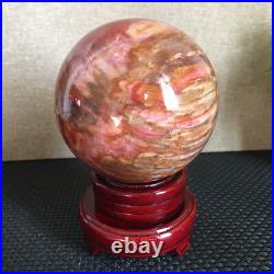 1560g NATURAL PRETTY Petrified Wood Crystal ball Healing md1302 1560g NATURAL PRETTY Petrified Wood Crystal ball Healing md1302