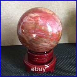 1560g NATURAL PRETTY Petrified Wood Crystal ball Healing md1302 1560g NATURAL PRETTY Petrified Wood Crystal ball Healing md1302
