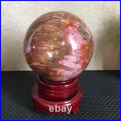 1560g NATURAL PRETTY Petrified Wood Crystal ball Healing md1302 1560g NATURAL PRETTY Petrified Wood Crystal ball Healing md1302