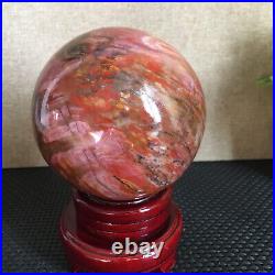 1560g NATURAL PRETTY Petrified Wood Crystal ball Healing md1302 1560g NATURAL PRETTY Petrified Wood Crystal ball Healing md1302