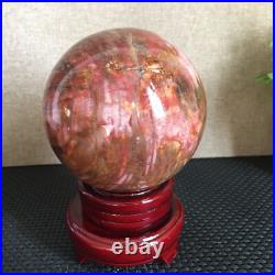 1560g NATURAL PRETTY Petrified Wood Crystal ball Healing md1302 1560g NATURAL PRETTY Petrified Wood Crystal ball Healing md1302