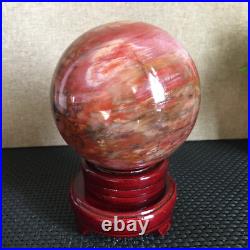 1560g NATURAL PRETTY Petrified Wood Crystal ball Healing md1302 1560g NATURAL PRETTY Petrified Wood Crystal ball Healing md1302