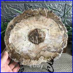 1570g Beautiful Polished Petrified Wood Crystal Slice Madagascar mh304