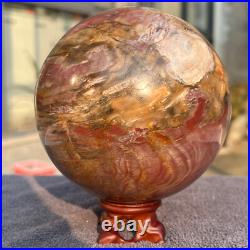 1570g Natural Petrified Wood Fossil Quartz Crystal Sphere Mineral Specimen
