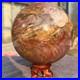 1570g_Natural_Petrified_Wood_Fossil_Quartz_Crystal_Sphere_Mineral_Specimen_01_kkwr