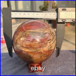 1570g Natural Petrified Wood Fossil Quartz Crystal Sphere Mineral Specimen