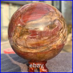 1570g Natural Petrified Wood Fossil Quartz Crystal Sphere Mineral Specimen