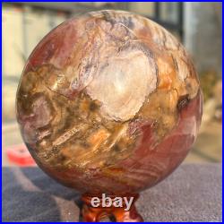 1570g Natural Petrified Wood Fossil Quartz Crystal Sphere Mineral Specimen