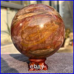1570g Natural Petrified Wood Fossil Quartz Crystal Sphere Mineral Specimen