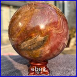 1570g Natural Petrified Wood Fossil Quartz Crystal Sphere Mineral Specimen