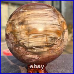 1570g Natural Petrified Wood Fossil Quartz Crystal Sphere Mineral Specimen