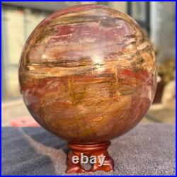 1570g Natural Petrified Wood Fossil Quartz Crystal Sphere Mineral Specimen