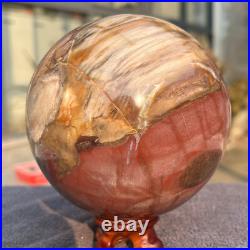 1570g Natural Petrified Wood Fossil Quartz Crystal Sphere Mineral Specimen