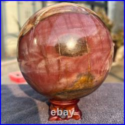 1570g Natural Petrified Wood Fossil Quartz Crystal Sphere Mineral Specimen