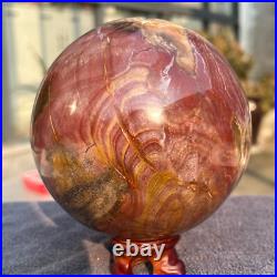 1570g Natural Petrified Wood Fossil Quartz Crystal Sphere Mineral Specimen