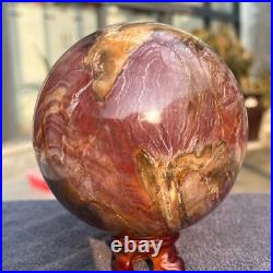 1570g Natural Petrified Wood Fossil Quartz Crystal Sphere Mineral Specimen