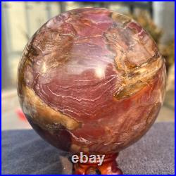 1570g Natural Petrified Wood Fossil Quartz Crystal Sphere Mineral Specimen